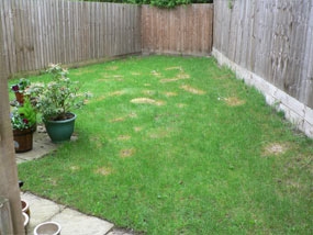 before irregular shaped garden