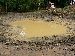 Pond after a weekends rain